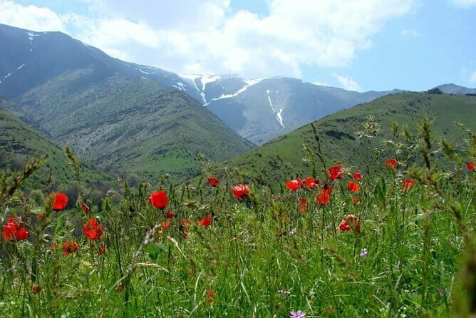 1 Day Tour to Shakhrisabz: Motherland of Amir Temur - Teshiktash: the heart-stone created by wind and time