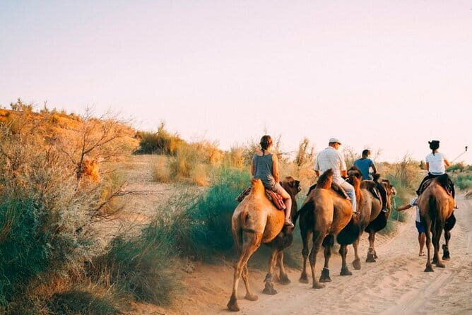 2 Days Private Safari Tour from Bukhara - Two Days, Bukhara to Samarkand: What This Safari Really Delivers