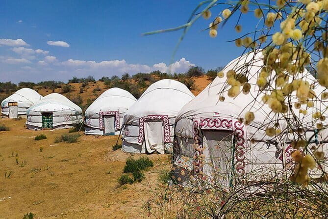2 Days Private Safari Tour from Bukhara - Day 2: Village Life at Dungalak and a Picnic on Aydarkul Lake