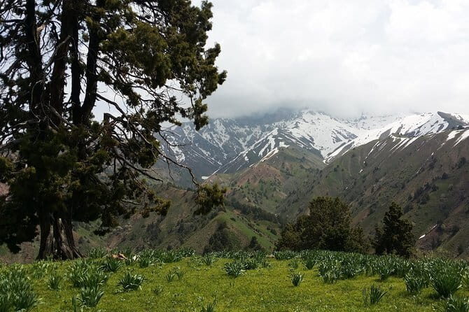 3-Day Chimgan Trekking Tour - Day 2 is the big one: Beldersay valley, Chetkumbel pass, Kubmel pass (2550m), and petroglyphs at 2400m