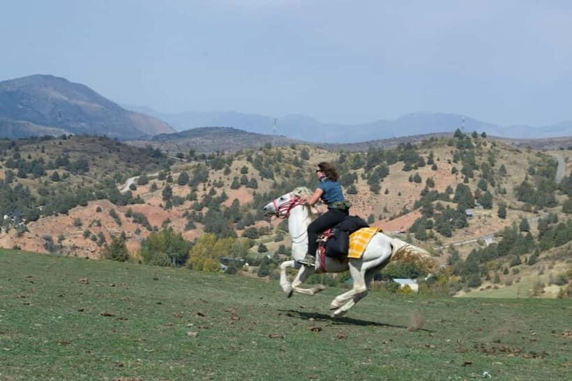 Amirsoy, Chimgan & Charvak Full-Day Adventure - Price and value: what you’re really paying for