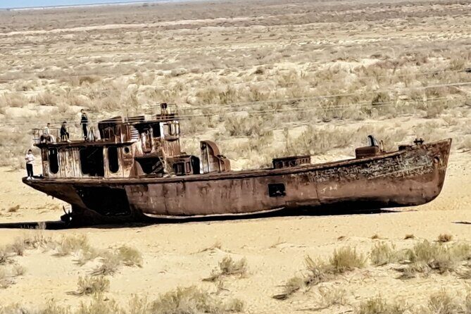 Aral Sea One Day Tour from Tashkent - A Long Day to the Aral Sea: What This Trip Really Feels Like