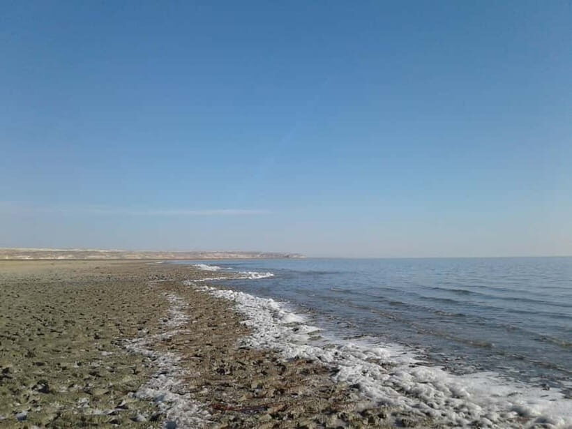 Aral Sea One Day Trip from Nukus. - Yurt camp on the Aral shore: lunch, rinse-off, and the best chance to swim