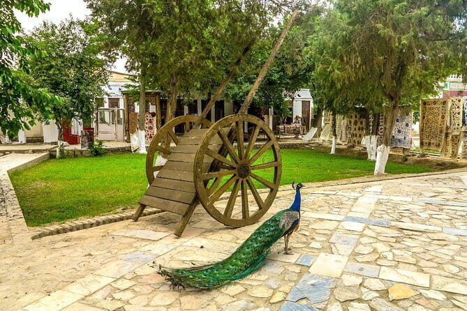 City Tour Around Bukhara - What I’d watch for before you book