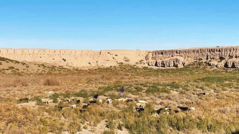 Daytrip from Khiva to Five Ancient Fortresses - Breaks, photo stops, and timing: how the itinerary affects your comfort