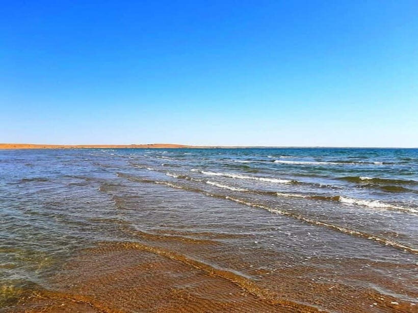 Desert Adventure from Samarkand: Yurt Camp & Aydarkul Escape - Key highlights worth your attention
