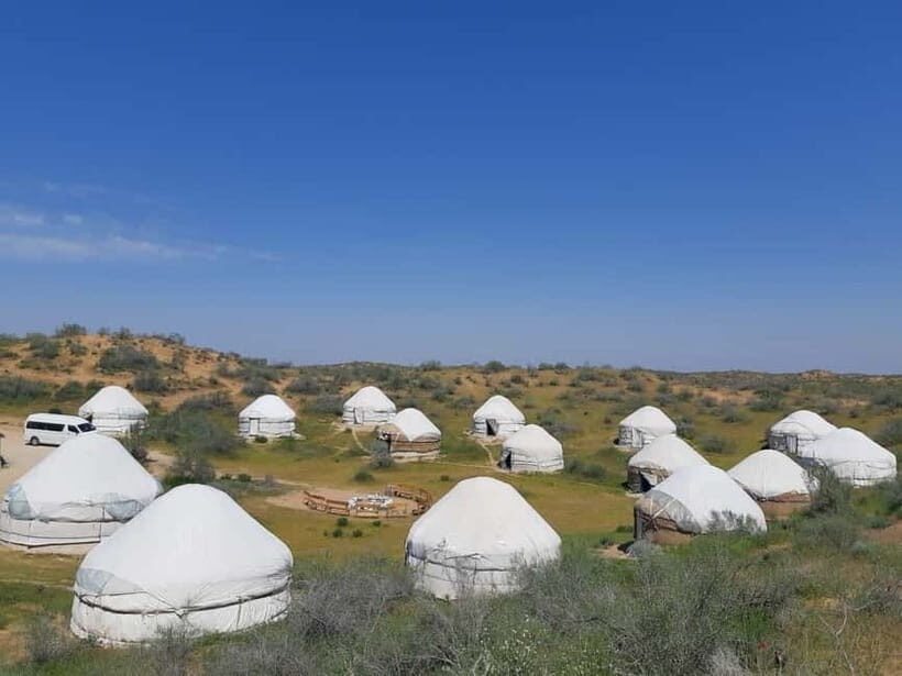 Desert Adventure from Samarkand: Yurt Camp & Aydarkul Escape - Camel riding: short, sweet, and surprisingly photogenic
