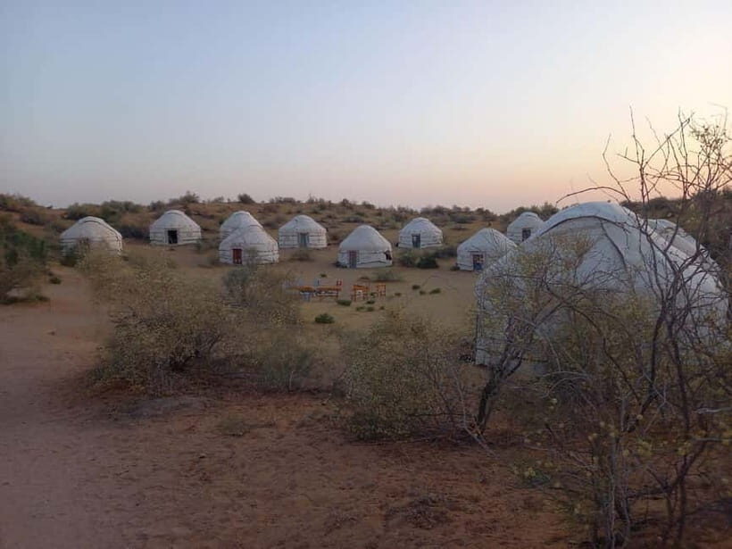 Desert Adventure from Samarkand: Yurt Camp & Aydarkul Escape - Price and value: what $200 actually covers
