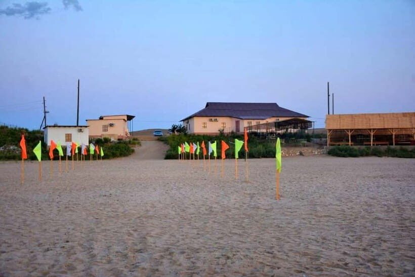 Desert Adventure from Samarkand: Yurt Camp & Aydarkul Escape - Practical tips before you go