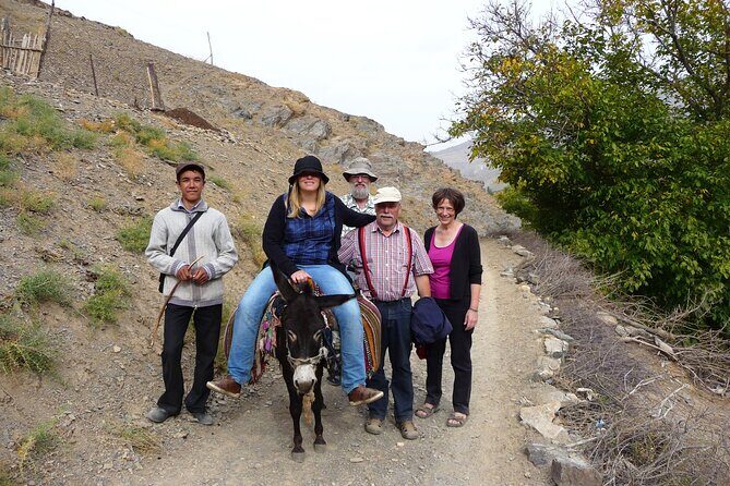 Desert yurt camp and Mountain tour - 3 days - Price and value: what $325 really buys you