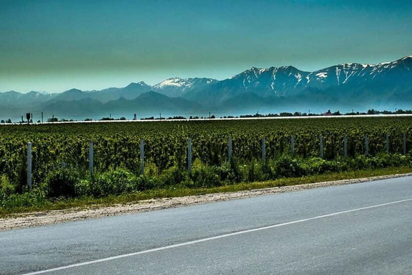From Samarkand: Shahrisabz Day Trip & Mountain Pass Tour - Over Takhtakaracha Mountain Pass: comfortable travel with built-in photo time