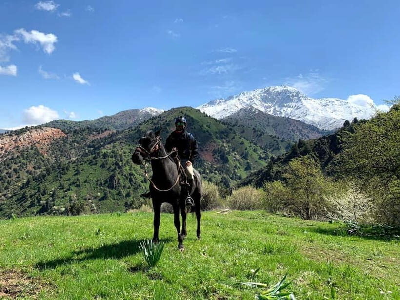 From Tashkent: Chimgan Valley Hiking Day Trip - From Tashkent to the Western Tian Shan: What the Day Feels Like