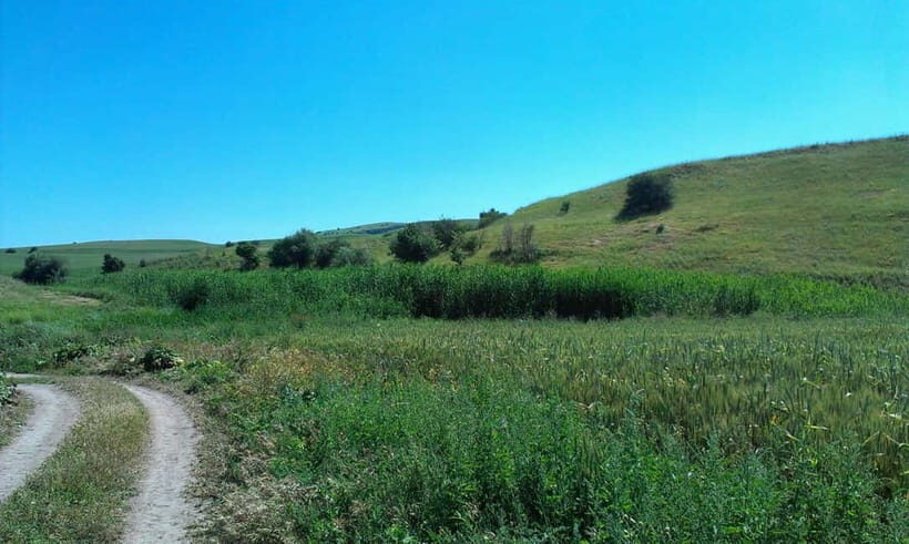 From Tashkent: Chimgan Valley Hiking Day Trip - Your Guide in the Lead: Route-Picking Makes a Big Difference