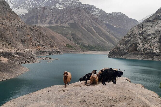 Full Day Private Tour in Seven Lakes from Samarkand - Marghuzor and Soya: the first lakes you’ll remember