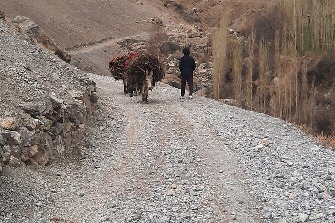Full Day Private Tour in Seven Lakes from Samarkand - Road conditions and comfort: how to set yourself up for the ride