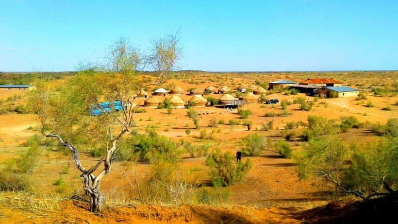 Kyzylkum Desert tour from Samarkand (1Night 2 Days) - Samarkand to Nurata: the long road that sets the tone