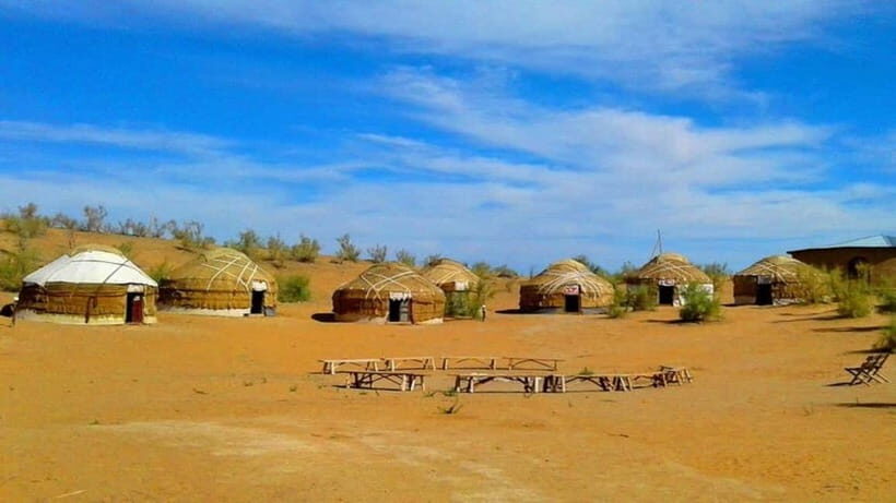 Kyzylkum Desert tour from Samarkand (1Night 2 Days) - Yurt camp check-in: simple, functional, and built for the desert