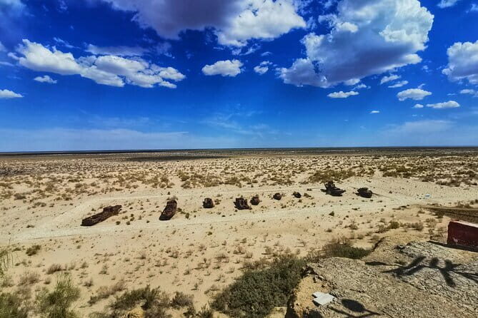 Private Daytrip to Muynak and Nukus - The Aral Sea Story Starts at the Muynak Museum