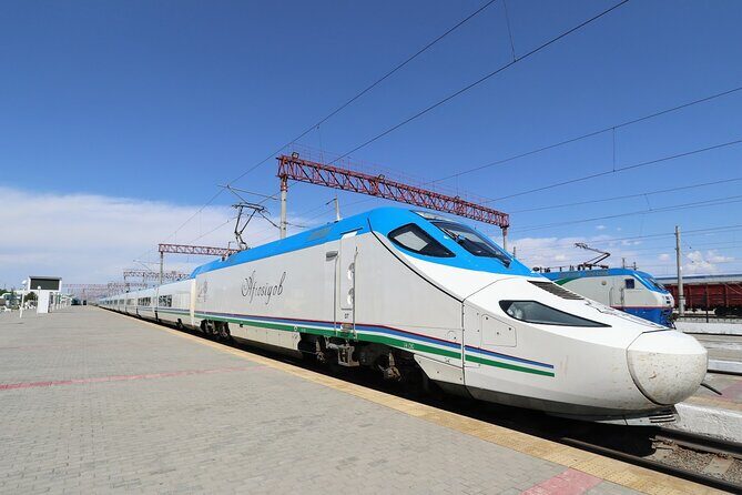 Samarkand One Day Private Tour from Tashkent with Bullet Train - One-Day Samarkand From Tashkent: What This Trip Really Gives You