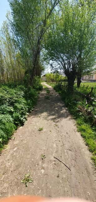 Samarkand: Village Tour with Plov Cooking Class & Home Visit - Getting out of Samarkand and into everyday village life