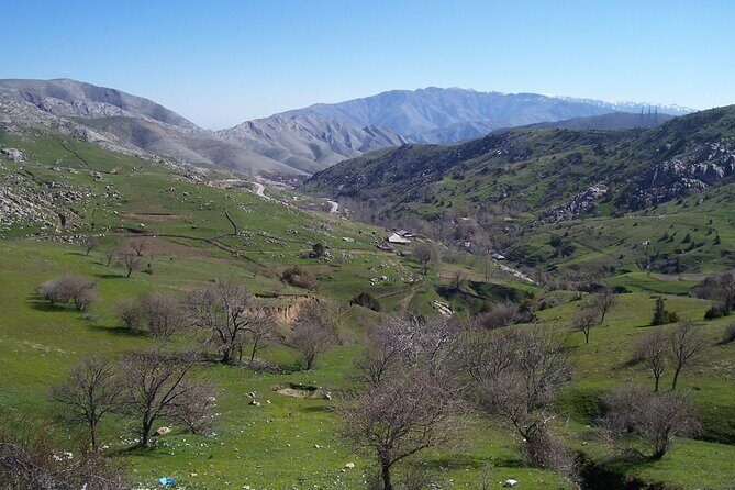 Shahrisabz Private Excursion From Samarkand. - Food stop reality: tea houses, optional lunch, and budgeting