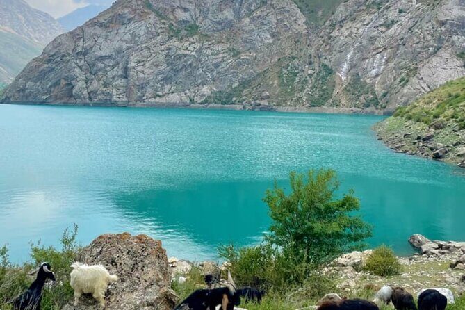 Tashkent Tour at Amirsoy, Chimgan Mountains and Charvak lake - Key highlights to know before you go