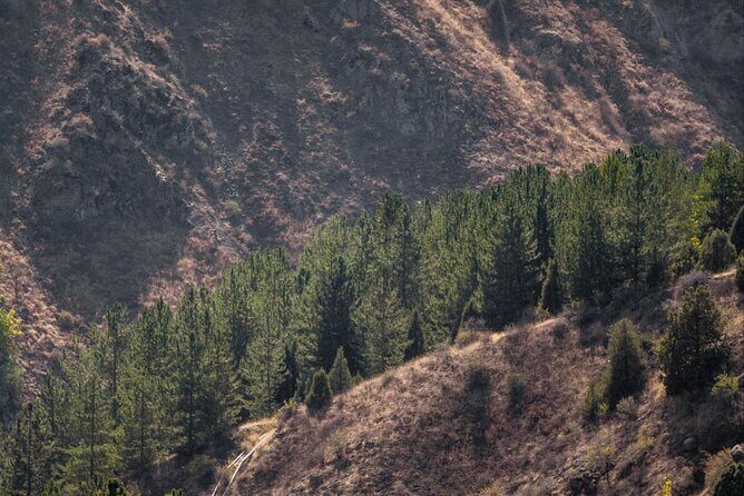 Tashkent Tour at Amirsoy, Chimgan Mountains and Charvak lake - Stop 2: Riding the Chimgan chair lift up to around 2000 m