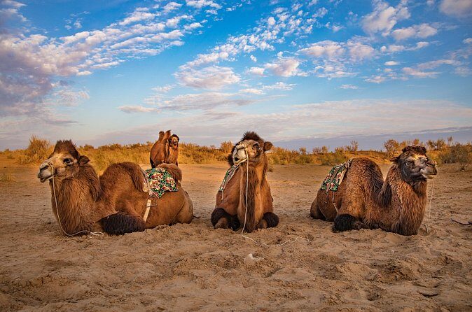 Transfer from Khiva to Bukhara by Fortresses - Stop 3: Kyzyl-Kala Near Toprak Kala (and Why Location Matters)