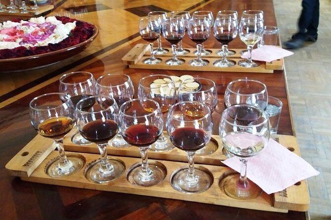 Wine Tasting Tour in Samarkand - Price and Logistics: Is $72 Worth It?