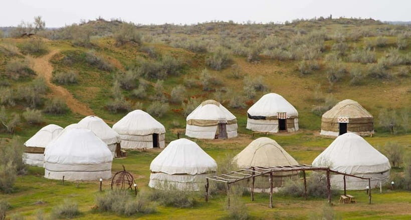 Yurt Camp Tour with Night from Bukhara - Key Highlights You’ll Actually Feel