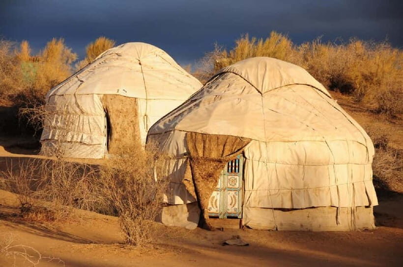 Yurt Camp Tour with Night from Bukhara - Aydarkul Lake Time: What to Do With the Sunlight
