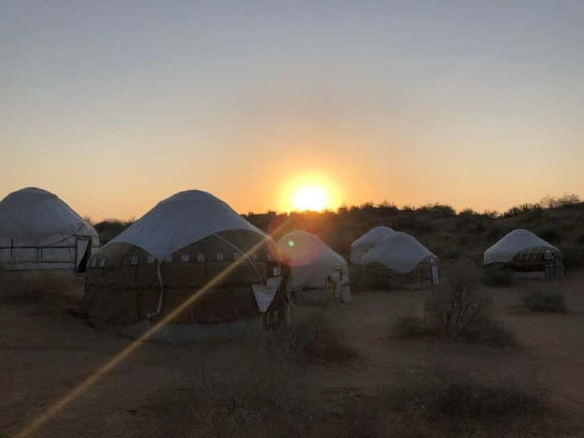 Yurt Camp Tour with Night from Bukhara - Price and Logistics: Is $215 Good Value for Two Days?